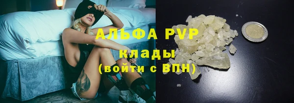 амф Бородино