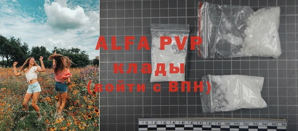 амф Бородино