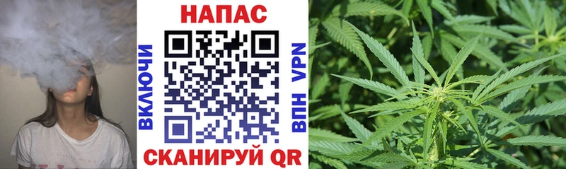 где найти kraken ONION Каннабис семена Юрга